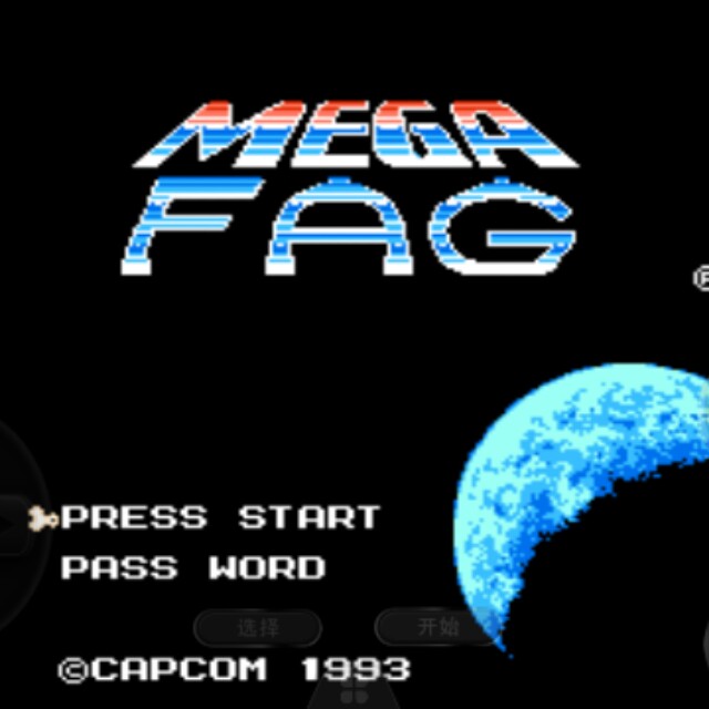 洛克人6 超级苦差事（美版）