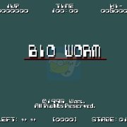 生物蠕虫（美版）