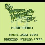 热斗 世界英雄2出招简化版（美版）